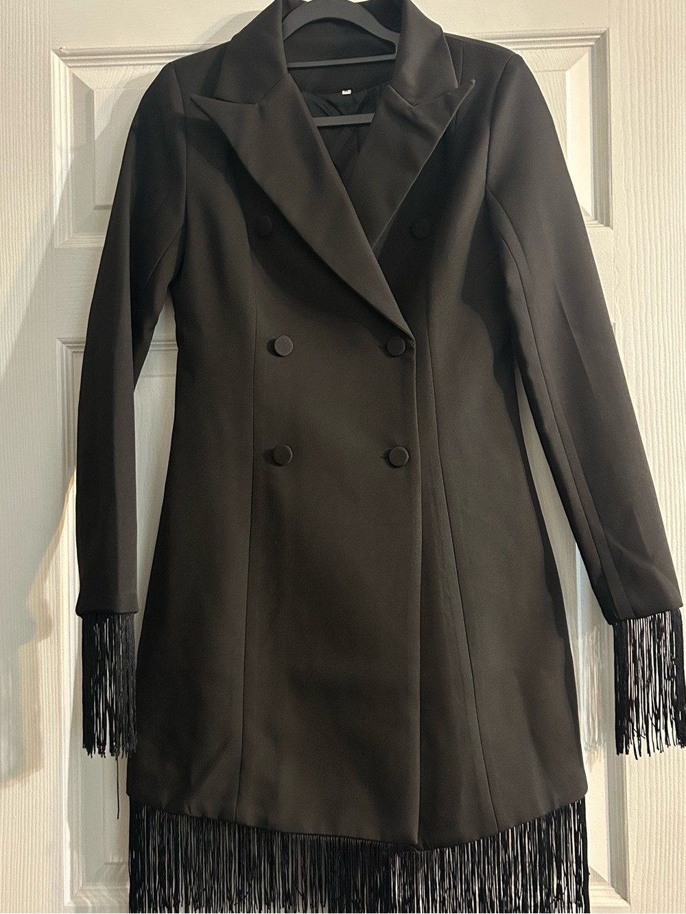 NWOT Double-Breasted Fringe Dress